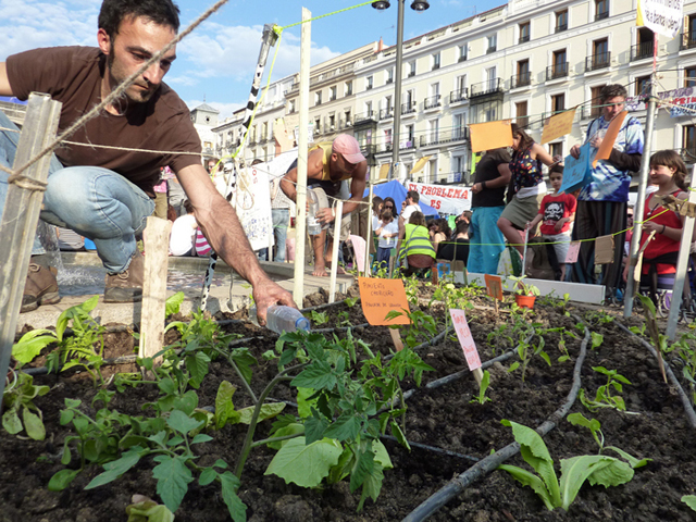 Huerta en Puerta del Sol